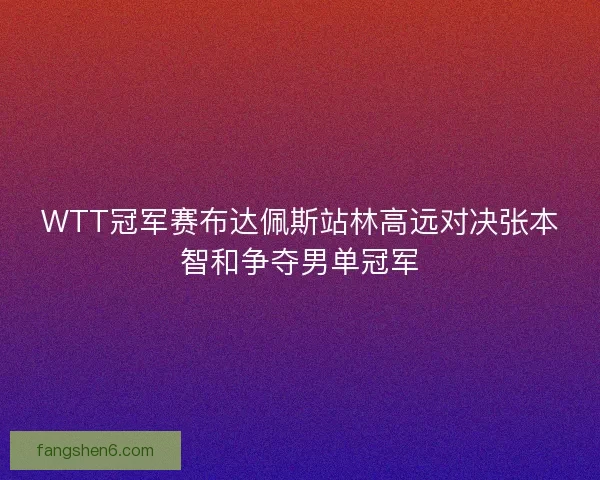 WTT冠军赛布达佩斯站林高远对决张本智和争夺男单冠军