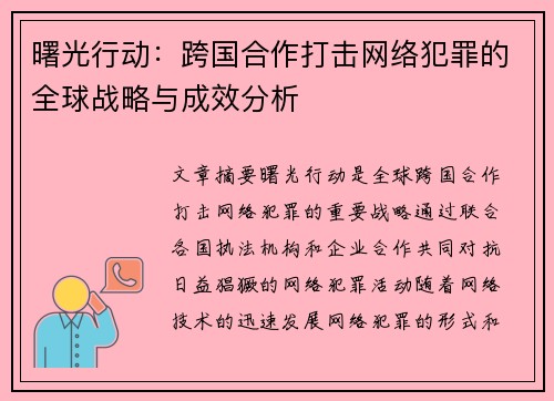 曙光行动：跨国合作打击网络犯罪的全球战略与成效分析